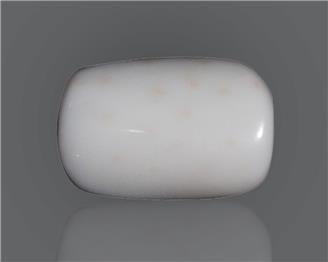 Natural White Coral  9.24 CTS (50249)